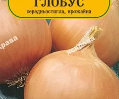 Цибуля Глобус 180-220 нас, Насіння, 25 шт.