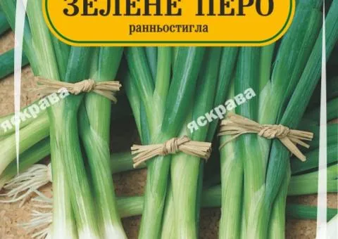 Цибуля на зелень Зелене Перо 180-220 нас, Насіння, 25 шт.