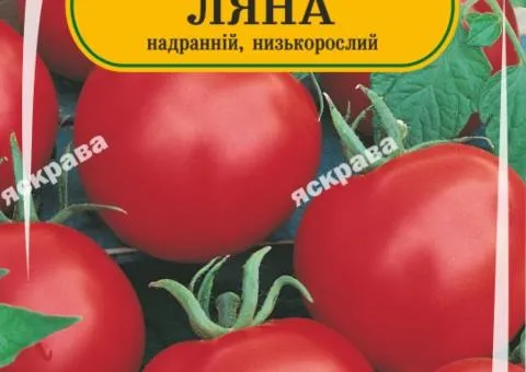 Томат Ляна 60-90 нас, Насіння, 25 шт.