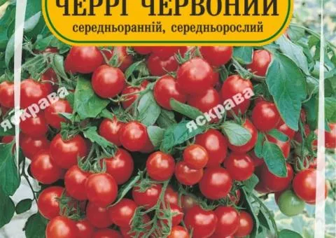 Томат Черрі червоний 60-90 нас, Насіння, 25 шт.