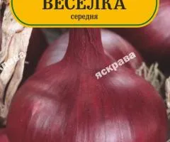 Цибуля червона Веселка 180-220 нас, Насіння, 25 шт.