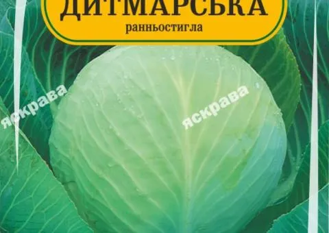 Капуста білоголова Дитмарська 200 нас, Насіння, 25 шт.