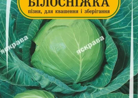 Капуста білоголова Білосніжка 200 нас, Насіння, 25 шт.