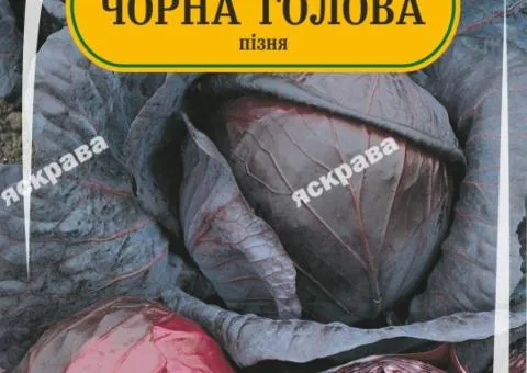 Капуста червоноголова Чорна голова 200 нас, Насіння, 25 шт.