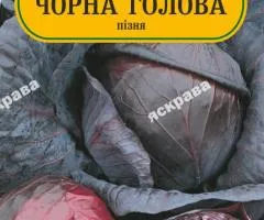 Капуста червоноголова Чорна голова 200 нас, Насіння, 25 шт.