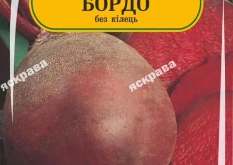 Буряк столовий Бордо 90-110 нас, Насіння, 25 шт.