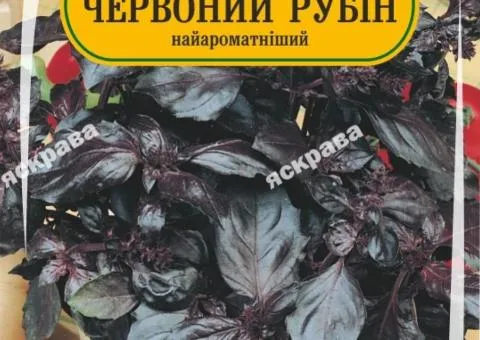 Базилік червоний Рубін 0.3 г, Насіння, 25 шт.