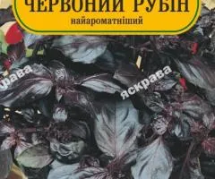 Базилік червоний Рубін 0.3 г, Насіння, 25 шт.