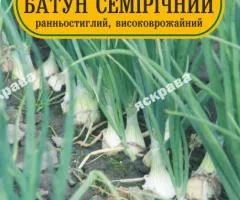 Цибуля Батун семірічний 1 г, Насіння, 25 шт.