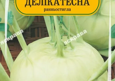 Капуста кольрабі Делікатесна 100-120 нас, Насіння, 25 шт.