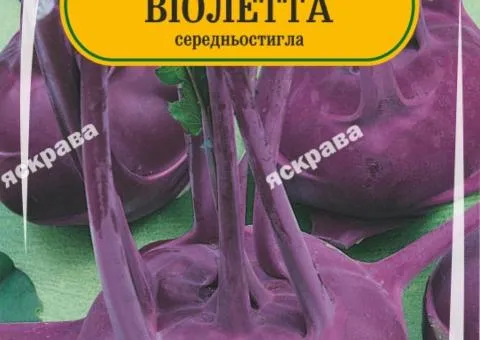 Капуста кольрабі Віолетта 100-120 нас, Насіння, 25 шт.
