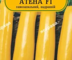 Кабачок Атена F1 5 нас, Насіння, 25 шт.