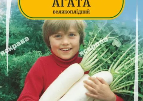 Редька Дайкон Агата 2 г, Насіння, 25 шт.