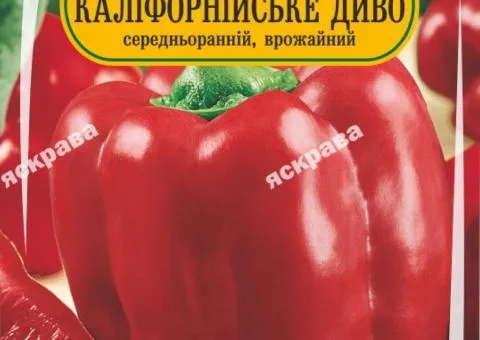 Перець Каліфорнійське Диво червоне 60-90 нас, Насіння, 25 шт.