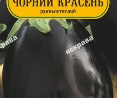 Баклажан Чорний красень 60-90 нас, Насіння, 25 шт.