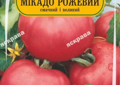Томат Мікадо рожевий 60-90 нас, Насіння, 25 шт.