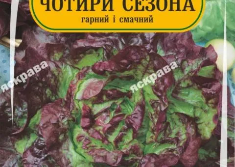 Салат Чотири сезона 1 г, Насіння, 25 шт.