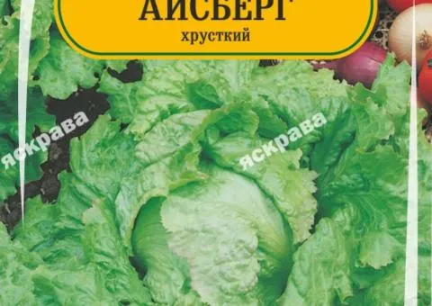 Салат Айсберг 1 г, Насіння, 25 шт.