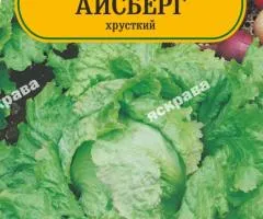 Салат Айсберг 1 г, Насіння, 25 шт.