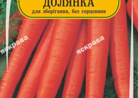 Морква Долянка 2 г, Насіння, 25 шт.