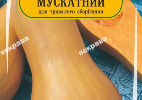 Гарбуз Мускатний 5 нас, Насіння, 25 шт.