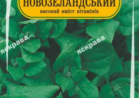 Шпінат Новозеландський 2 г, Насіння, 25 шт.