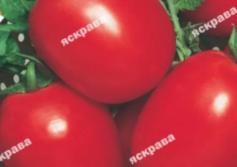 Tomato Peto 86 0.1 g, Vegetable seeds, 20 pcs