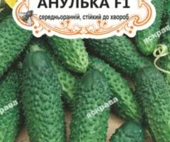 Огірок-корнішон д/ж Анулька F1 (БАНКА) 20-30нас, Насіння, 25 шт.