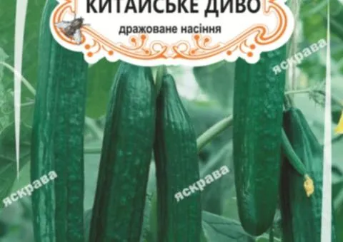 Огірок д/ж Китайське диво F1 (БАНКА) 15 нас, Насіння, 25 шт.