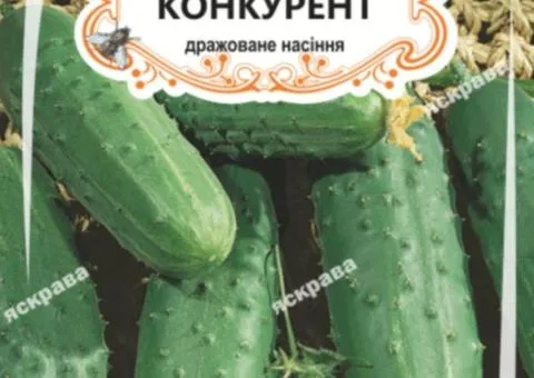 Огірок д/ж Конкурент (БАНКА) 20-30нас, Насіння, 25 шт.