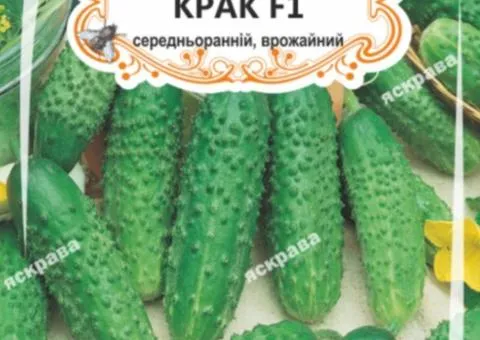 Огірок д/ж Крак F1 (БАНКА) 20-30нас, Насіння, 25 шт.