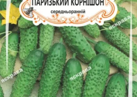Огірок-корнішон д/ж Паризький корнішон (БАНКА) 20-30нас, Насіння, 25 шт.