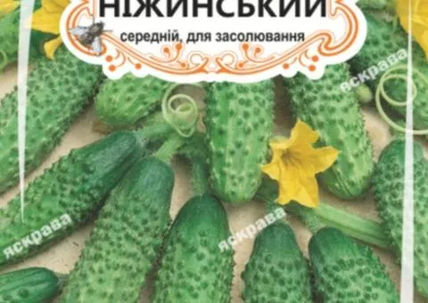 Огірок д/ж Ніжинський (БАНКА) 20-30нас, Насіння, 25 шт.