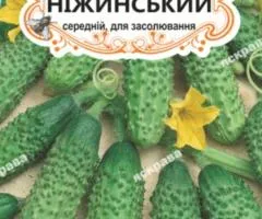 Огірок д/ж Ніжинський (БАНКА) 20-30нас, Насіння, 25 шт.