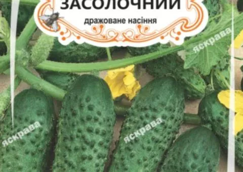 Огірок д/ж Засолочний (БАНКА) 20-30нас, Насіння, 25 шт.