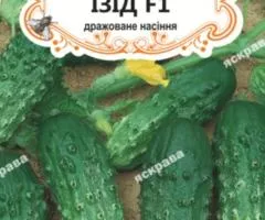 Огірок д/ж Ізід F1 (БАНКА) 20-30нас, Насіння, 25 шт.