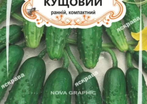 Огірок д/ж Кущовий (БАНКА) 20-30нас, Насіння, 25 шт.