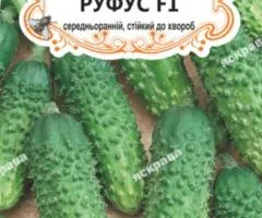 Огірок-корнішон д/ж Руфус F1 (БАНКА) 20-30нас, Насіння, 25 шт.
