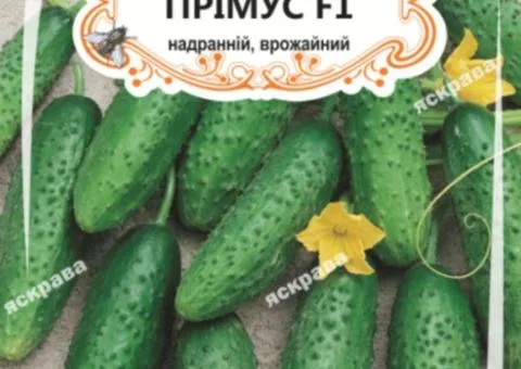 Огірок д/ж Прімус F1 (БАНКА) 20-30нас, Насіння, 25 шт.