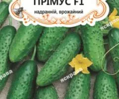 Огірок д/ж Прімус F1 (БАНКА) 20-30нас, Насіння, 25 шт.