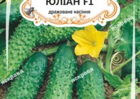 Огірок д/ж Юліан F1 (БАНКА) 20-30нас, Насіння, 25 шт.