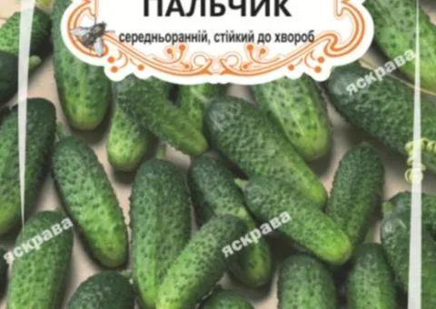 Огірок-корнішон д/ж Пальчик (БАНКА) 20-30нас, Насіння, 25 шт.