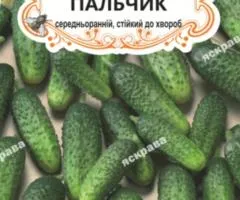 Огірок-корнішон д/ж Пальчик (БАНКА) 20-30нас, Насіння, 25 шт.