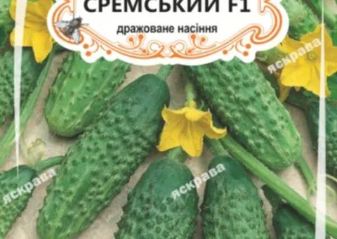 Огірок д/ж Сремський F1 (БАНКА) 20-30нас, Насіння, 25 шт.