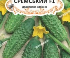 Огірок д/ж Сремський F1 (БАНКА) 20-30нас, Насіння, 25 шт.