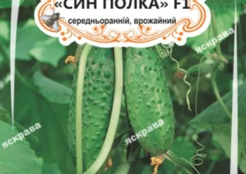 Огірок-корнішон д/ж Син Полка F1 (БАНКА) 15нас, Насіння, 25 шт.