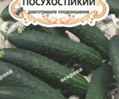 Огірок д/ж Посухостійкий (БАНКА) 20-30нас, Насіння, 25 шт.