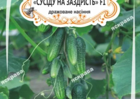 Огірок-корнішон д/ж Сусіду на заздрість F1 (БАНКА) 20-30нас, Насіння, 25 шт.