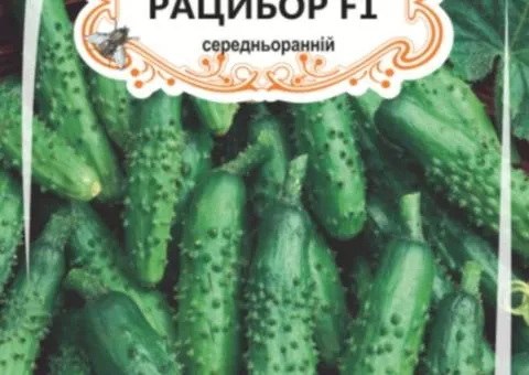 Огірок д/ж Рацибор F1 (БАНКА) 20-30нас, Насіння, 25 шт.