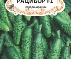 Огірок д/ж Рацибор F1 (БАНКА) 20-30нас, Насіння, 25 шт.